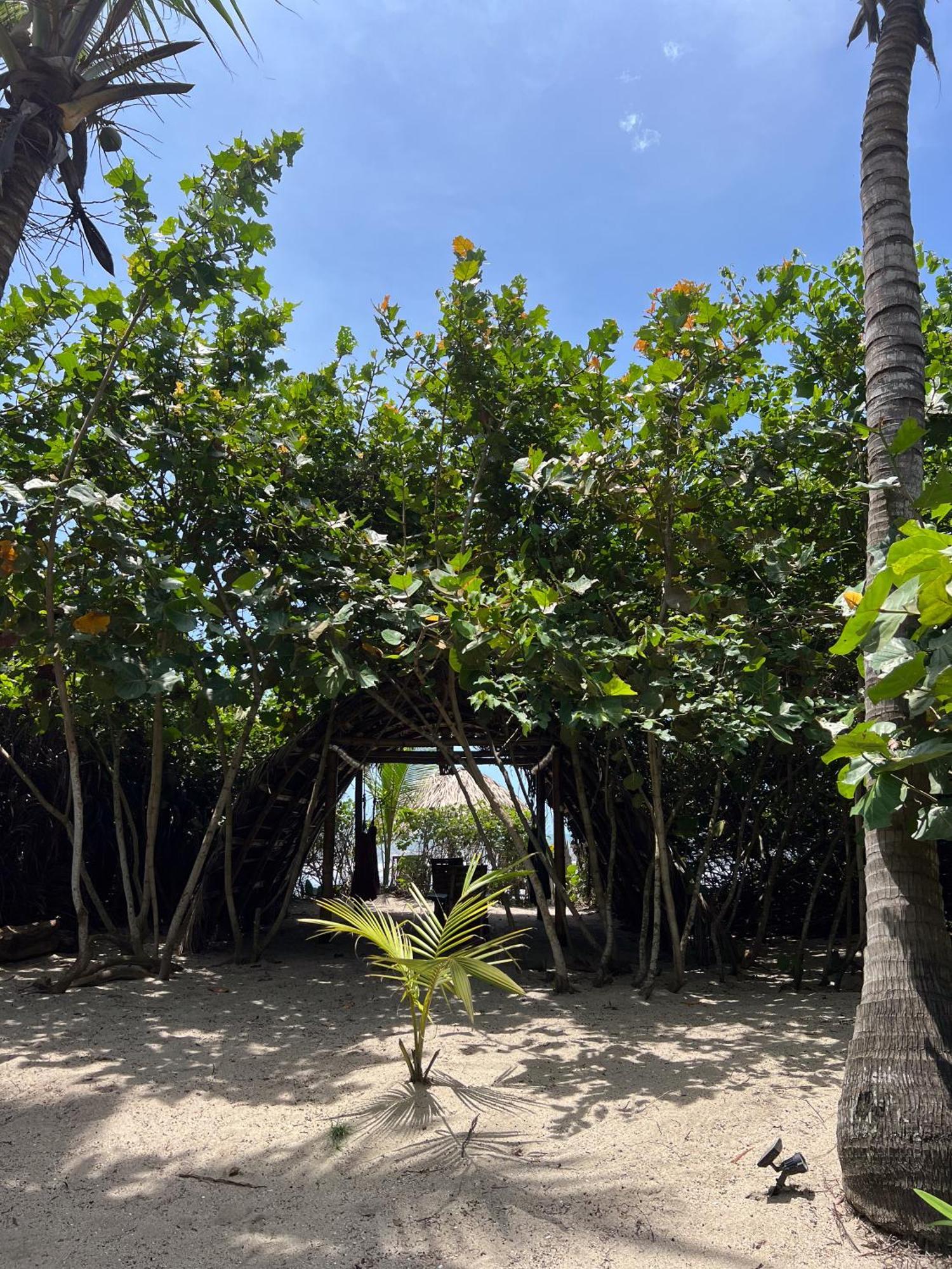 Hotel Lote 10 Glamping Guachaca Esterno foto
